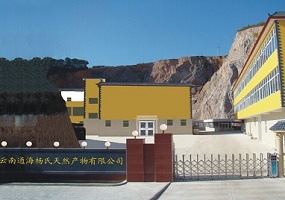 Yunnan Tonghai Yang Natural Products Co.,Ltd