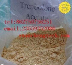 Testosterone Acetate