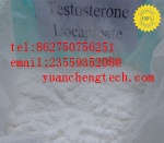 Testosterone Isocaproate