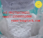 Testosterone Propionate