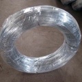 Galvanized Iron Wire