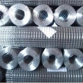 Welded Wire Mesh