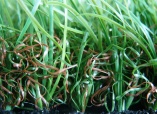 Artificial Turf