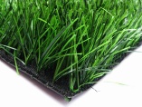 Artificial Turf