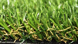 Artificial Turf