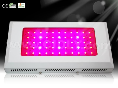 55*3W LED Grow light