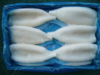 frozen squid tube