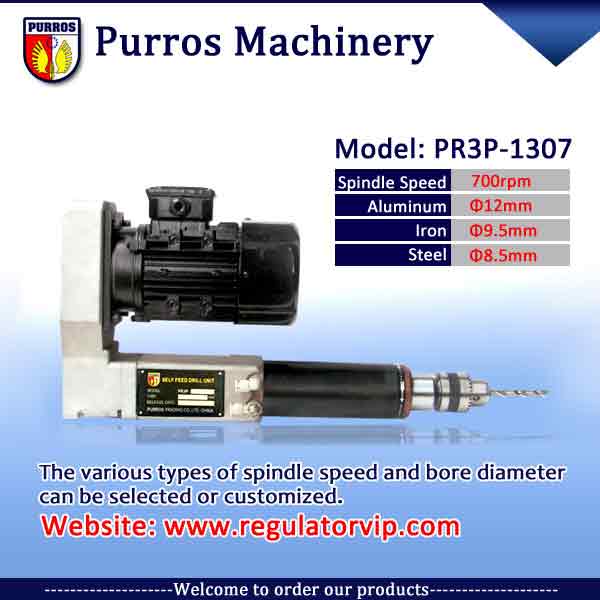 PR3P-1307