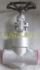 Check Valve, 1500 LB