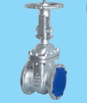 Class 150/300/600 Cast Steel Gate Valve