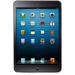 iPad mini Black and Slate Wi-Fi 64GB