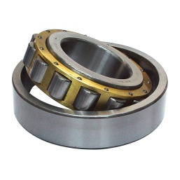 NJ 411M Cylindrical Roller Bearings 55X140X33mm