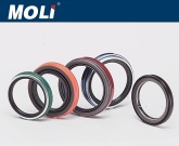 oil seal