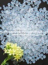 Silica Gel Desiccant Color White