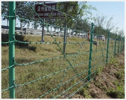 razor barbed wire