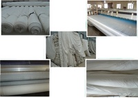 Woven Polyester Fabric