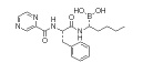 Bortezomib