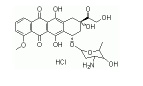 Doxorubicin hydrochloride