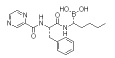 Bortezomib