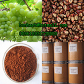 grape seed extract