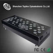 10000k led coral reef aquarium light