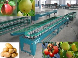 ellipse fruit grading machine