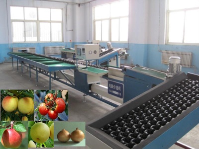 electronic fruit grading machine