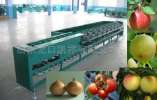 fruit grading machine for apple, orange, tomato etc.