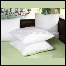 feather cushion insert