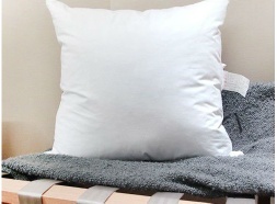 duck feather cushion