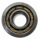 Cylindrical Roller Bearing