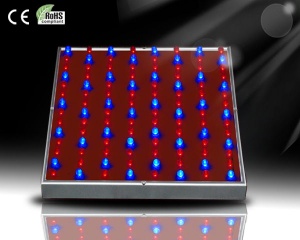 45W LED grow light