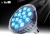 Par  LED Aquarium Light