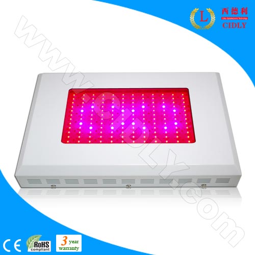 144X3W LED Grow Lights