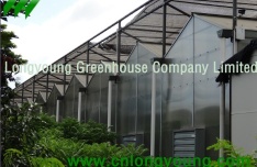 Polycarbonate Greenhouse