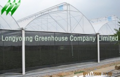 Saw Tooth Greenhouse