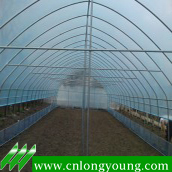 Single Tunnel Greenhouse