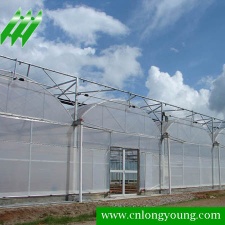 Multi-span Greenhouse