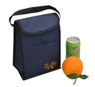 picnic cooler bag