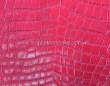 Genuine Crocodile Leather