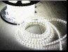 5050SMD TYPE LED STRIP LIGHT