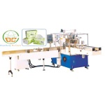 Facial Tissue Packing Machine