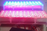 led strobe light