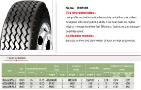 DSR588