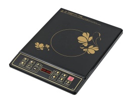 Induction Cooker