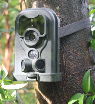 850nm IR motion trigger outdoor camera