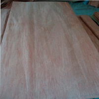 Rotary Cut Bintangor Veneer