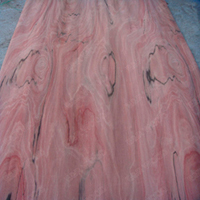 Red Birch Veneer