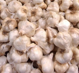 Fresh Garlic, Ginger and Onions