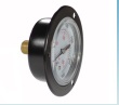 Dry Pressure Gauge